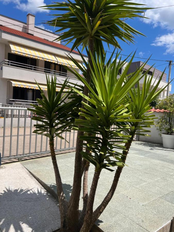 Apartments Lili Flora Zadar Zewnętrze zdjęcie